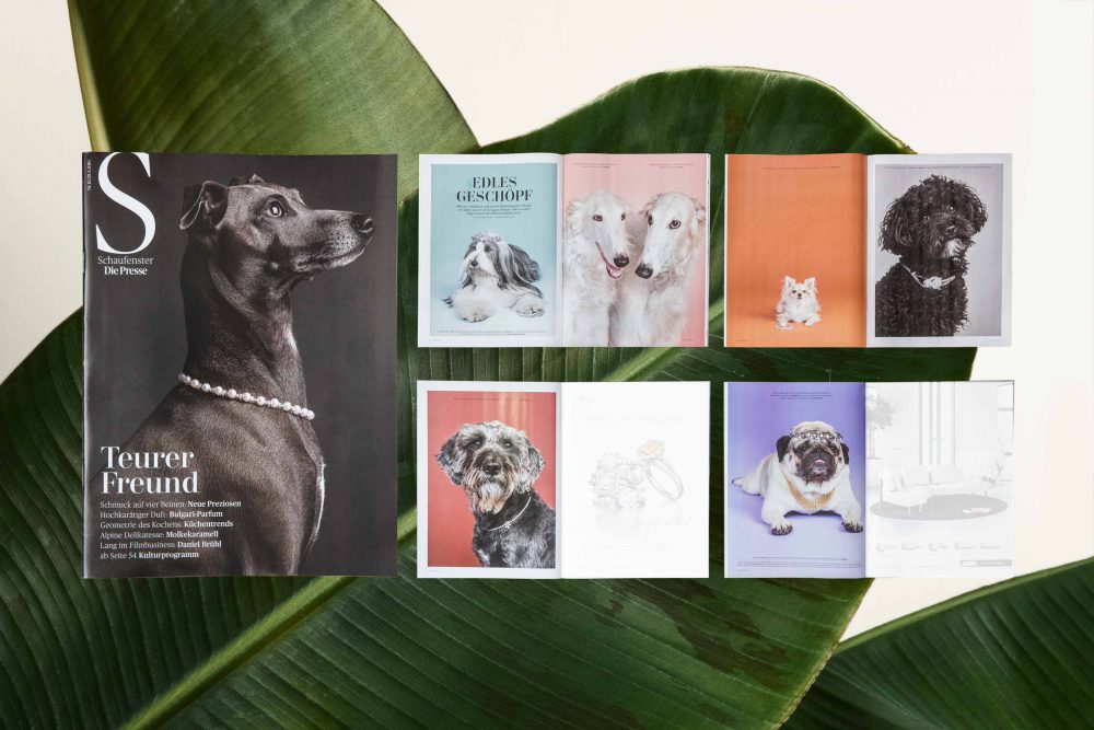 Hundeportrait auf Magazinseiten in "DiePresse-Schaufenster"