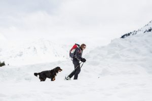 Lawinensuchhund mit Bergretter auf Ski bei der Suche von Verschütteten Menschen in einer Lawine