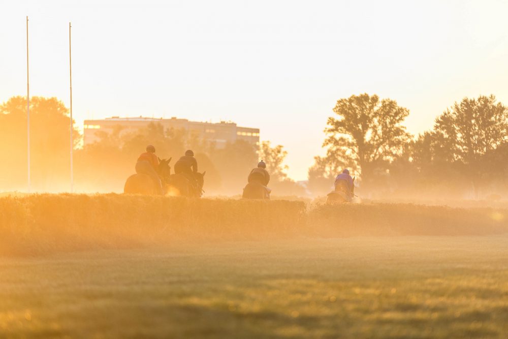 Rennpferde mit Jockeys auf einer Rennbahn im sonnigen Morgennebel