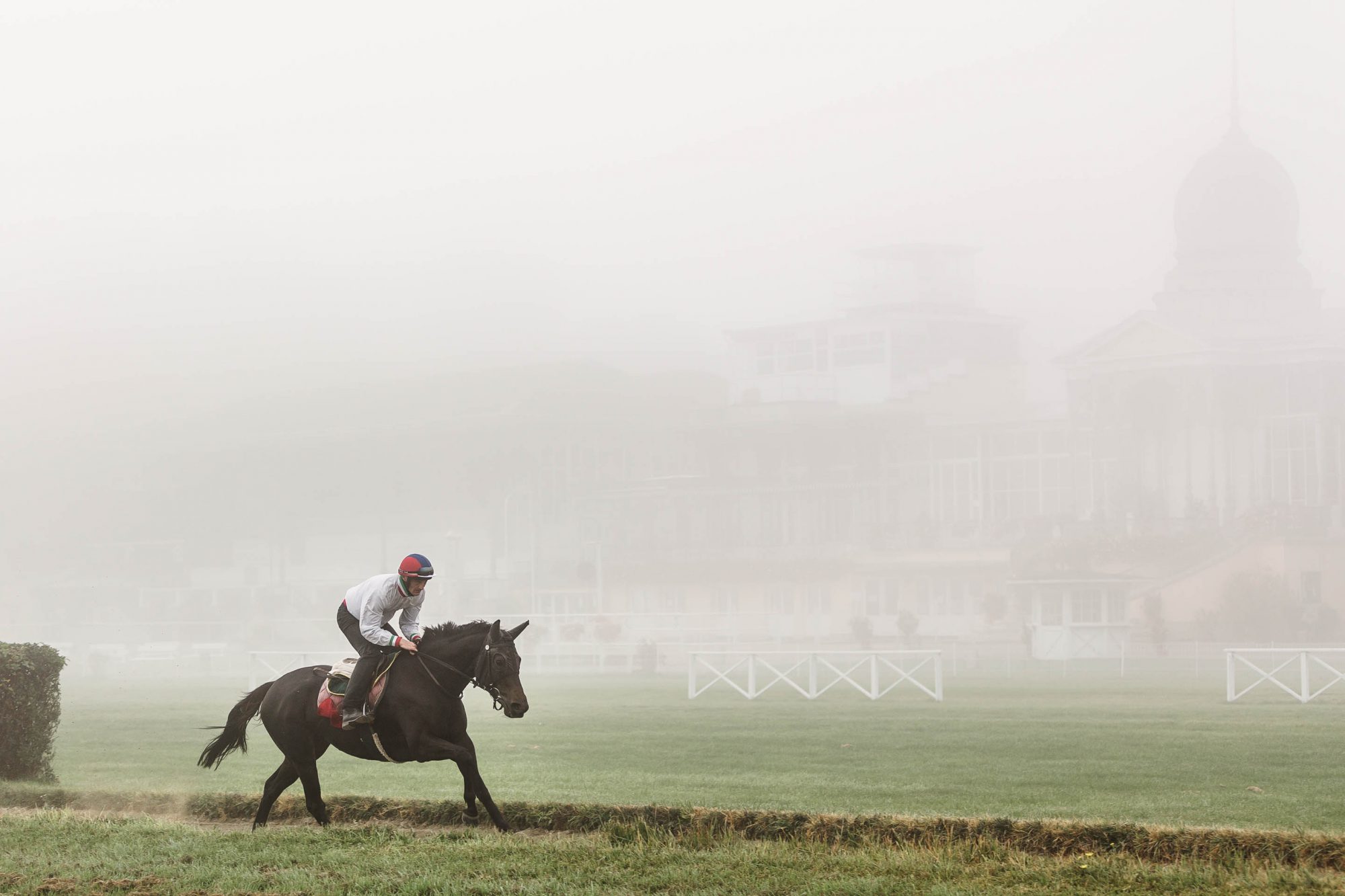 Rennpferd mit Jockey auf Galopprennbahn im Herbst bei Nebel
