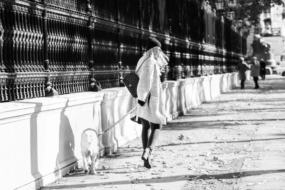 Junge elegante Frau geht mit Hund spazieren