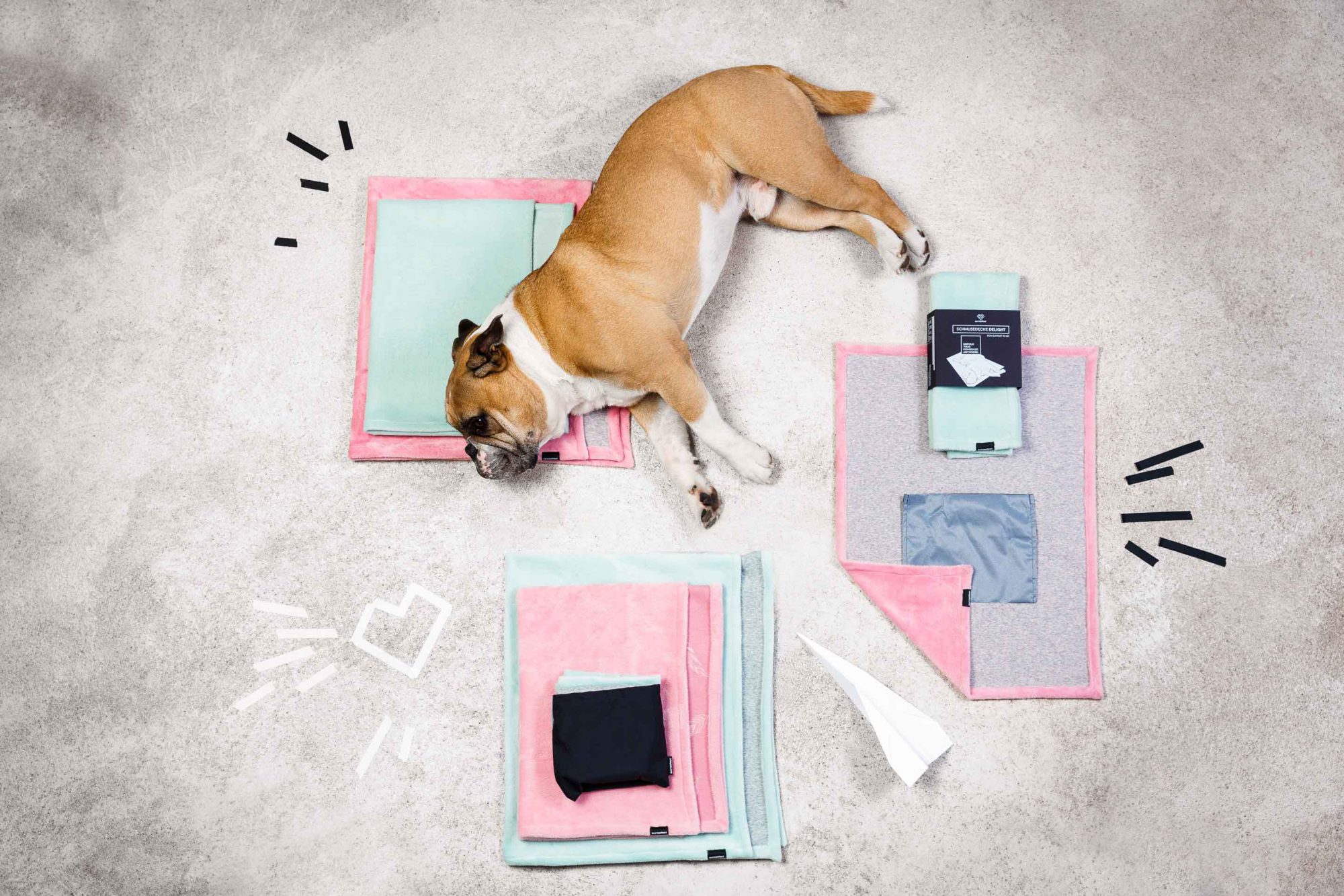 Produktfotografie mit Hund der auf bunten Fleece-Hundedecken am Boden liegt