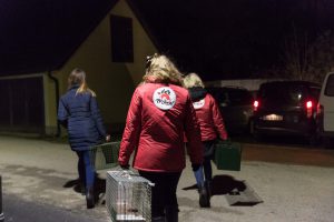 Vier Pfoten Tierschützer Team in der Nacht mit Fallen zum Fang von Streunerkatzen