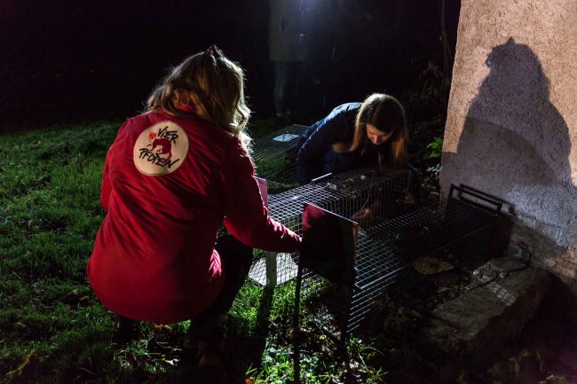 Niki Osl und Daniela Haumer beim aufstellen einer Katzenfalle für streunende Katzen