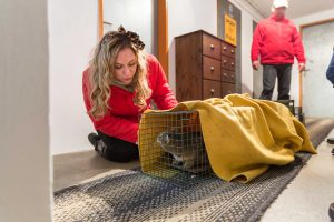 Niki Osl mit einer Falle für Streunerkatzen mit gefangener Katze