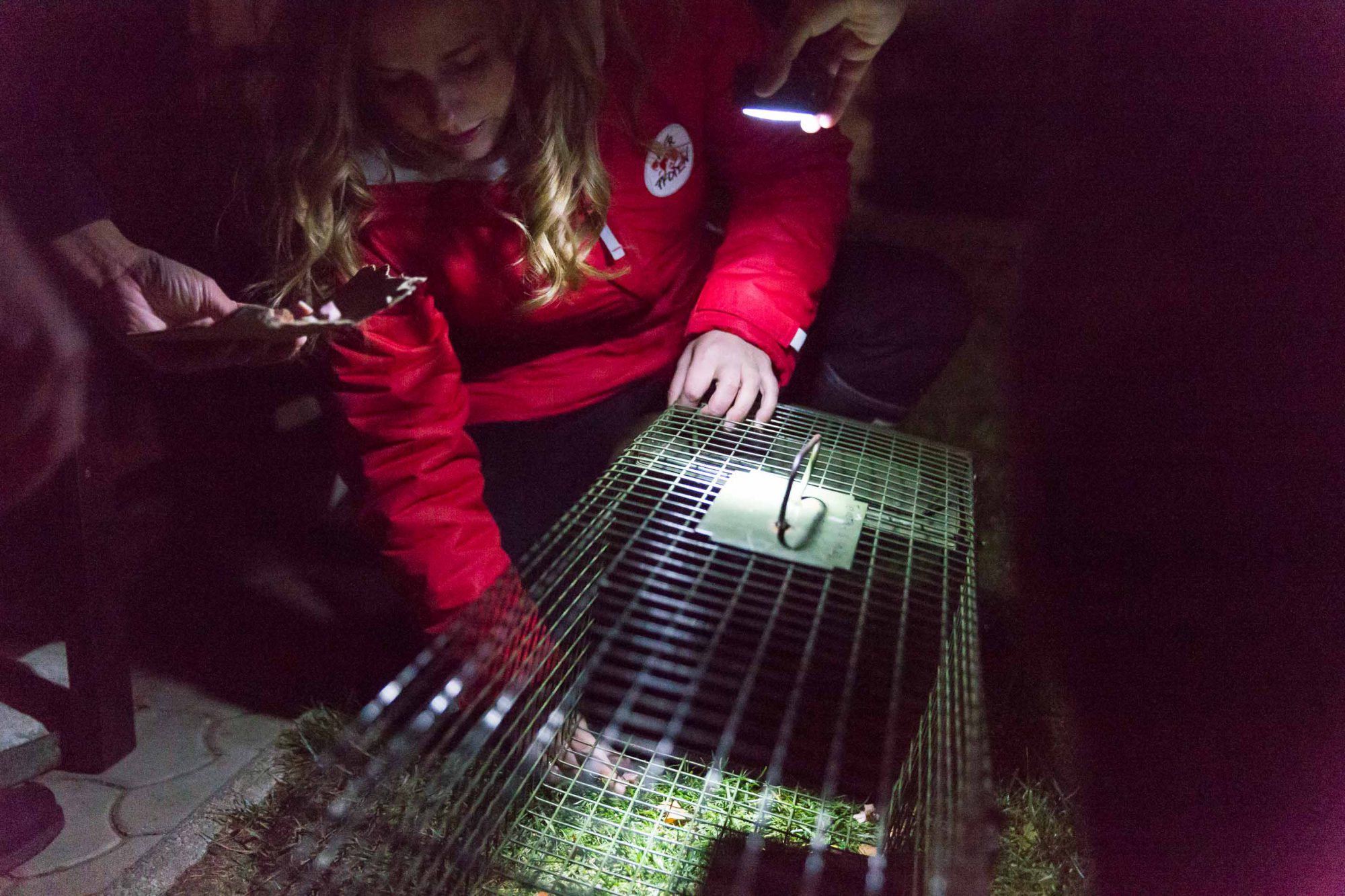 Niki Osl beim aufstellen einer Falle für Streunerkatzen