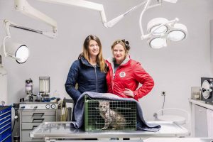 Niki Osl und Daniela Haumer beim Tierarzt mit gefangener Streunerkatze in Fangfalle