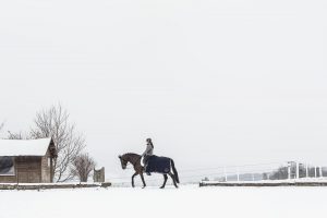 Reiterin Victoria Wurzinger mit Dressurpferd im Schnee
