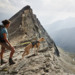 Tierfotograf Tierlicht mit seinem Whippet in den Bergen beim wandern mit Rucksack und Wolken