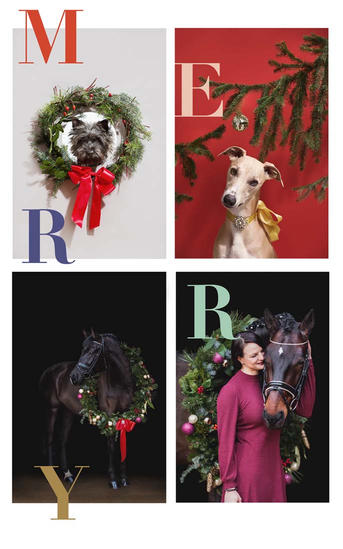 4_HP_XMAS