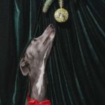 Ein Windhund beim weihnachtlichen Fotoshooting für Hunde mit Tannenzweig von Hundefotografie Tierlicht aus Wien