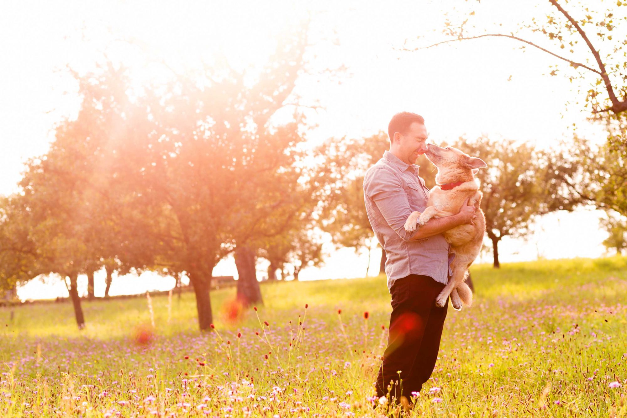 Fotografie von Mann mit Hund im Arm auf einer Wiese