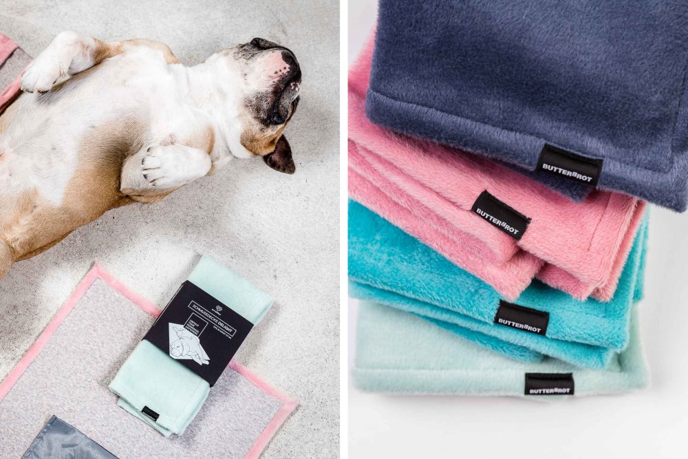 Produktfotografie mit Hund der auf dem Rücken liegt auf bunten Hundedecken und Stapel bunter Hundedecken rechts daneben