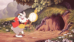 Das Kaninchen – Wegweiser ins Unbekannte