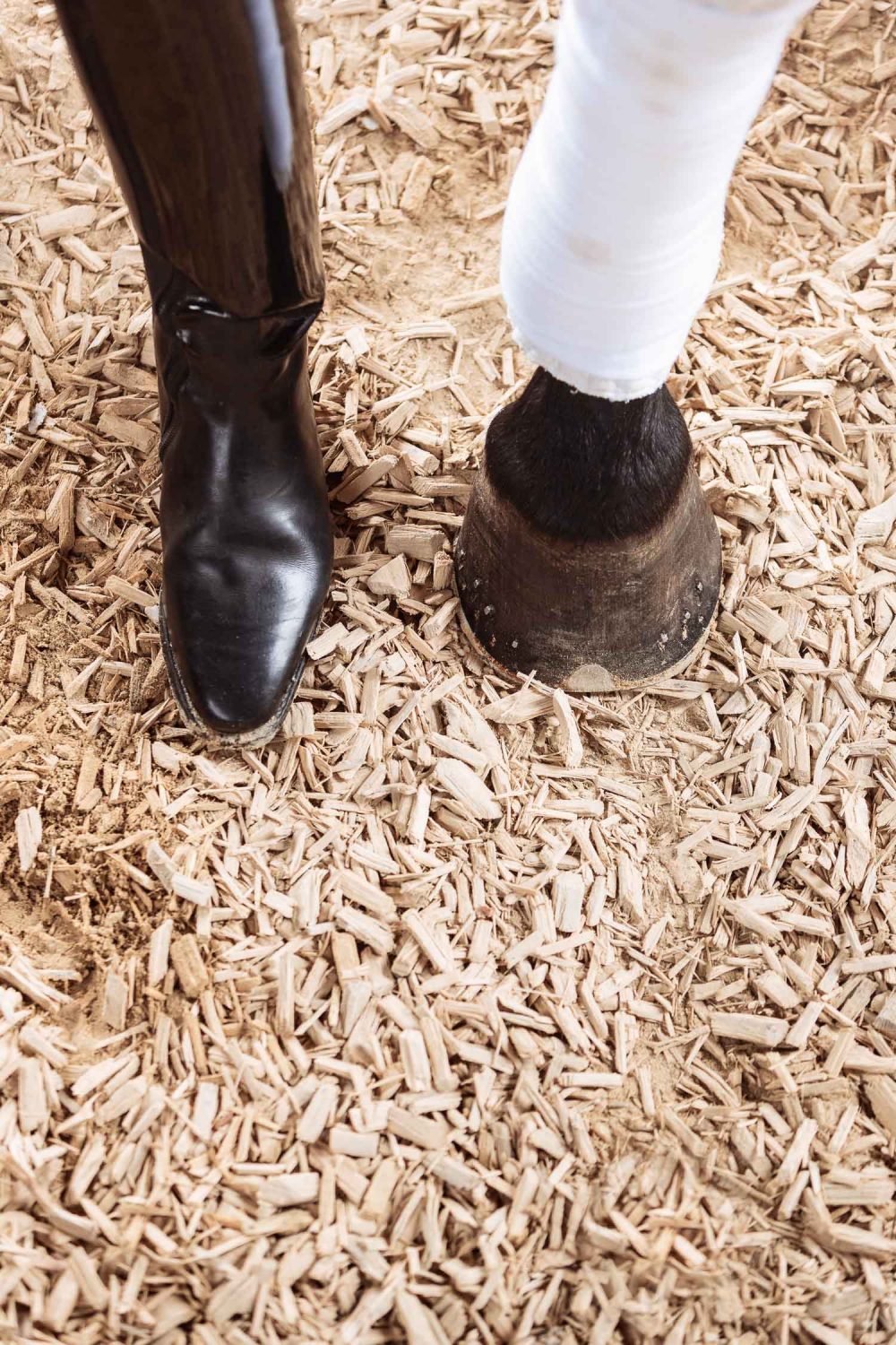 Reitstiefel und Pferdehuf in der Reithalle mit Holzspänen und Einstreu
