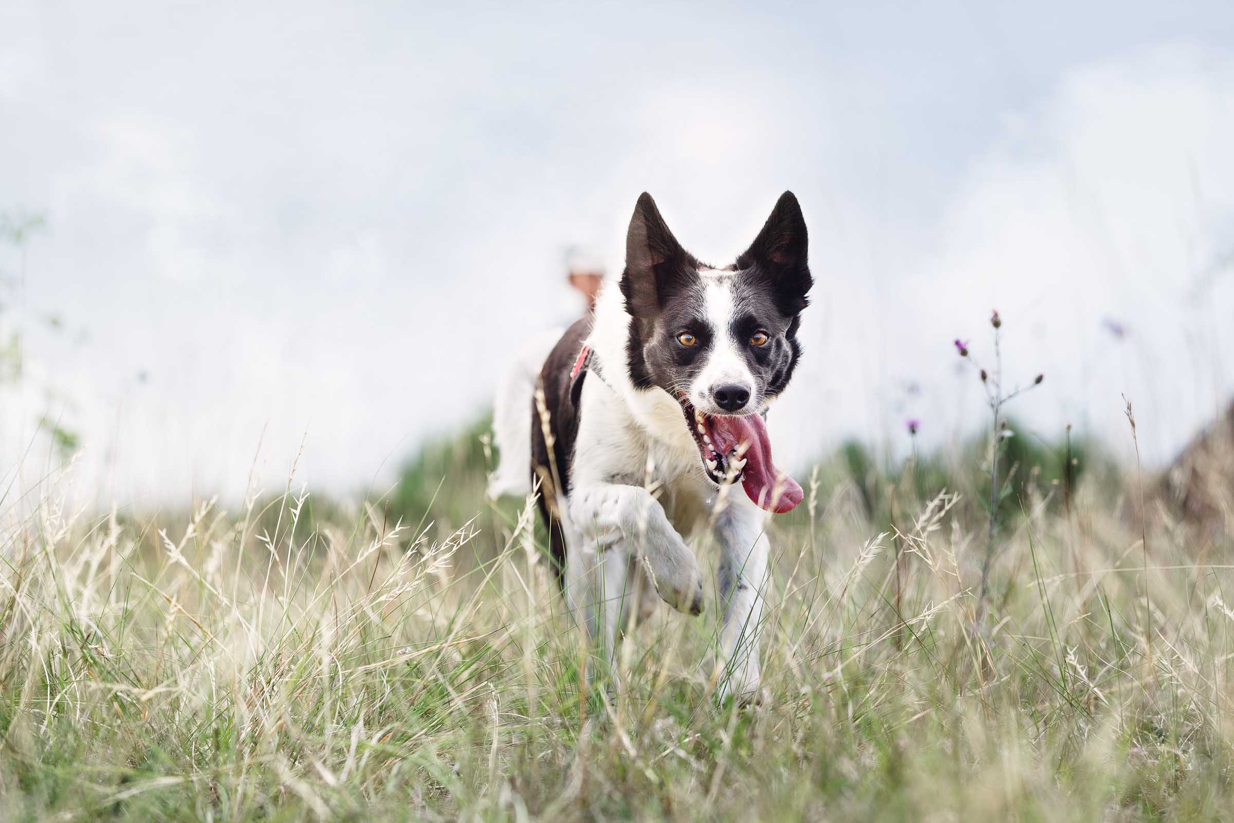 Die, die Leben retten