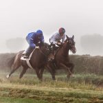 Foto von Tierlicht von Rennpferden im Galopp beim Pferderennen auf einer Rennbahn
