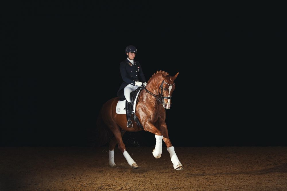 Dressurreiterin Victoria Wurzinger beim Studioshooting mit ihrem Pferd Bvlgari fotografiert von Pferdefotograf Tierlicht