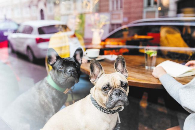 Produktfotografie©Tierlicht-1200-1296