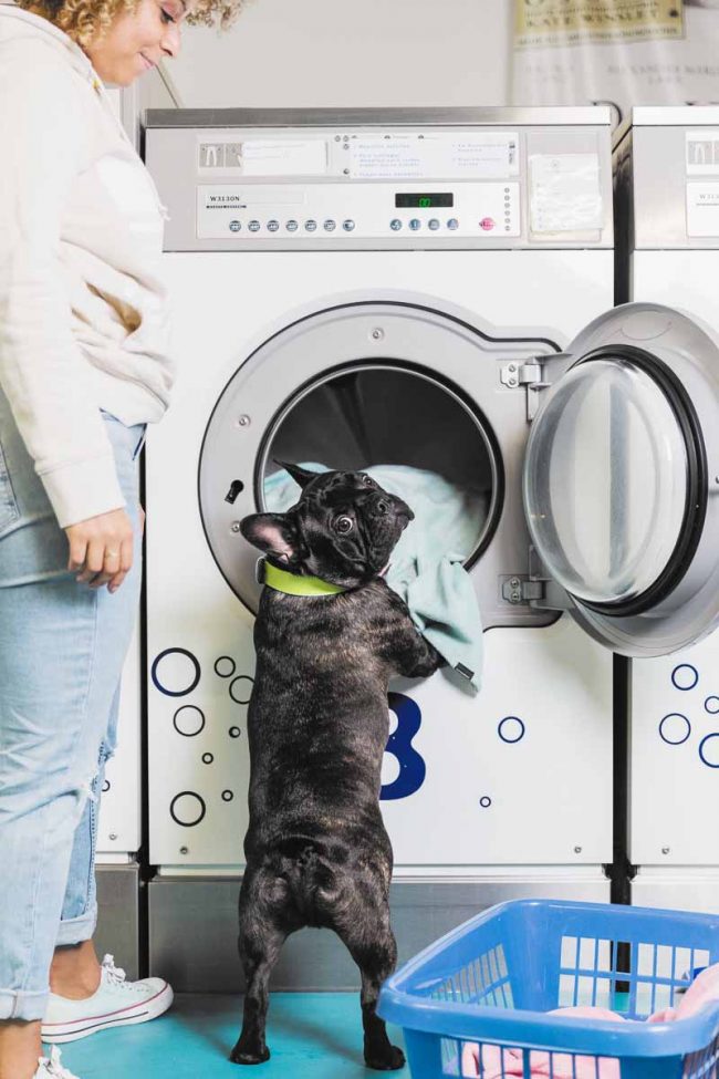 Produktfotografie©Tierlicht-1200-1741