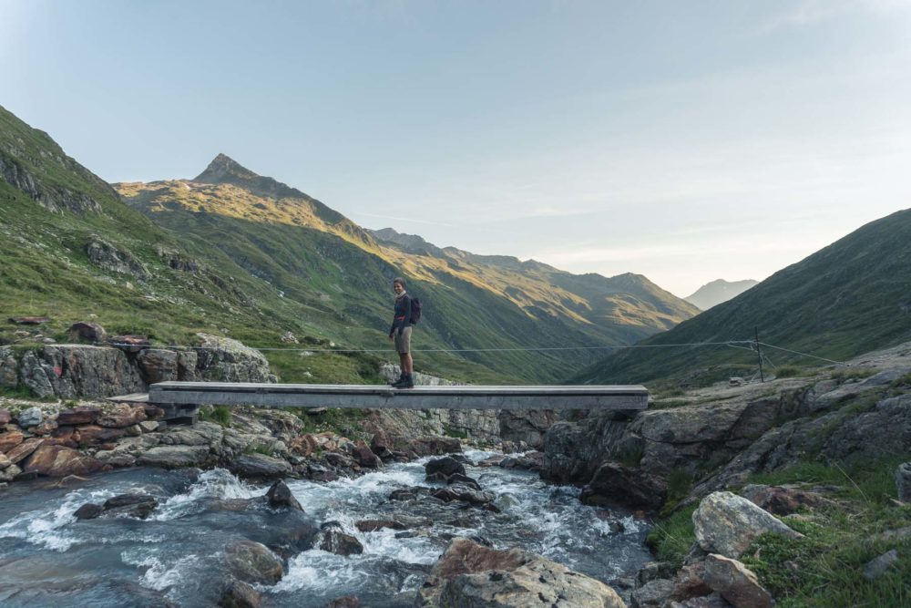 Ein Whippet am Berg©Tierlicht-1800-20201318