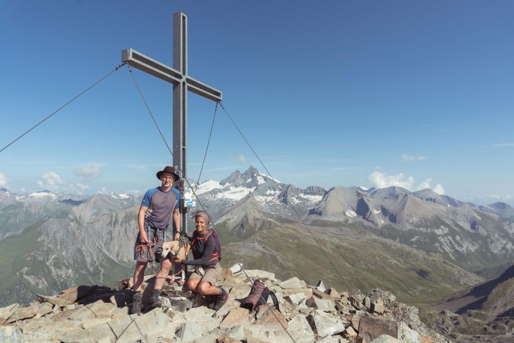 Ein Whippet am Berg©Tierlicht-1800-20201414