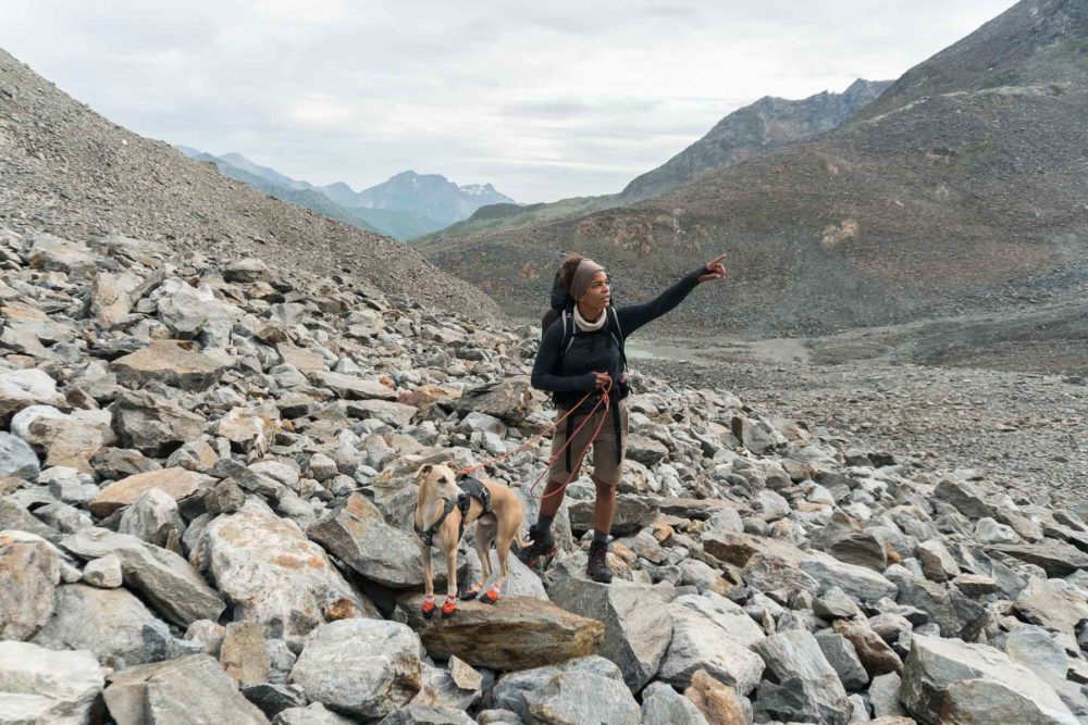 Ein Whippet am Berg©Tierlicht-1800-20201441