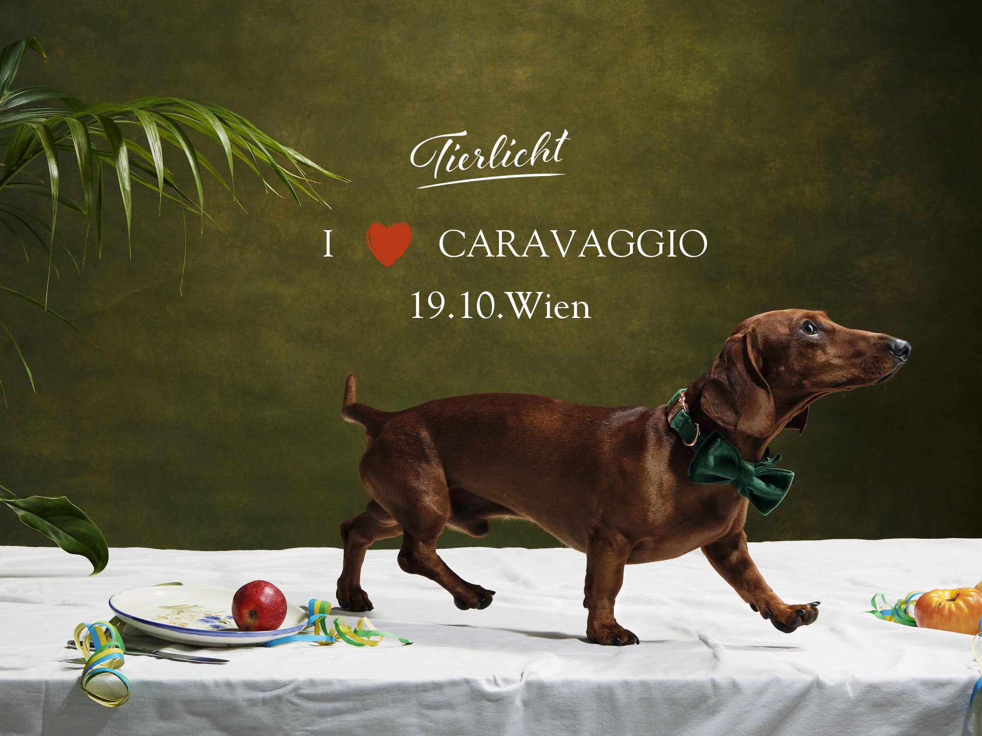 FAQ – „I ❤️ Caravaggio“ Fotoshooting
