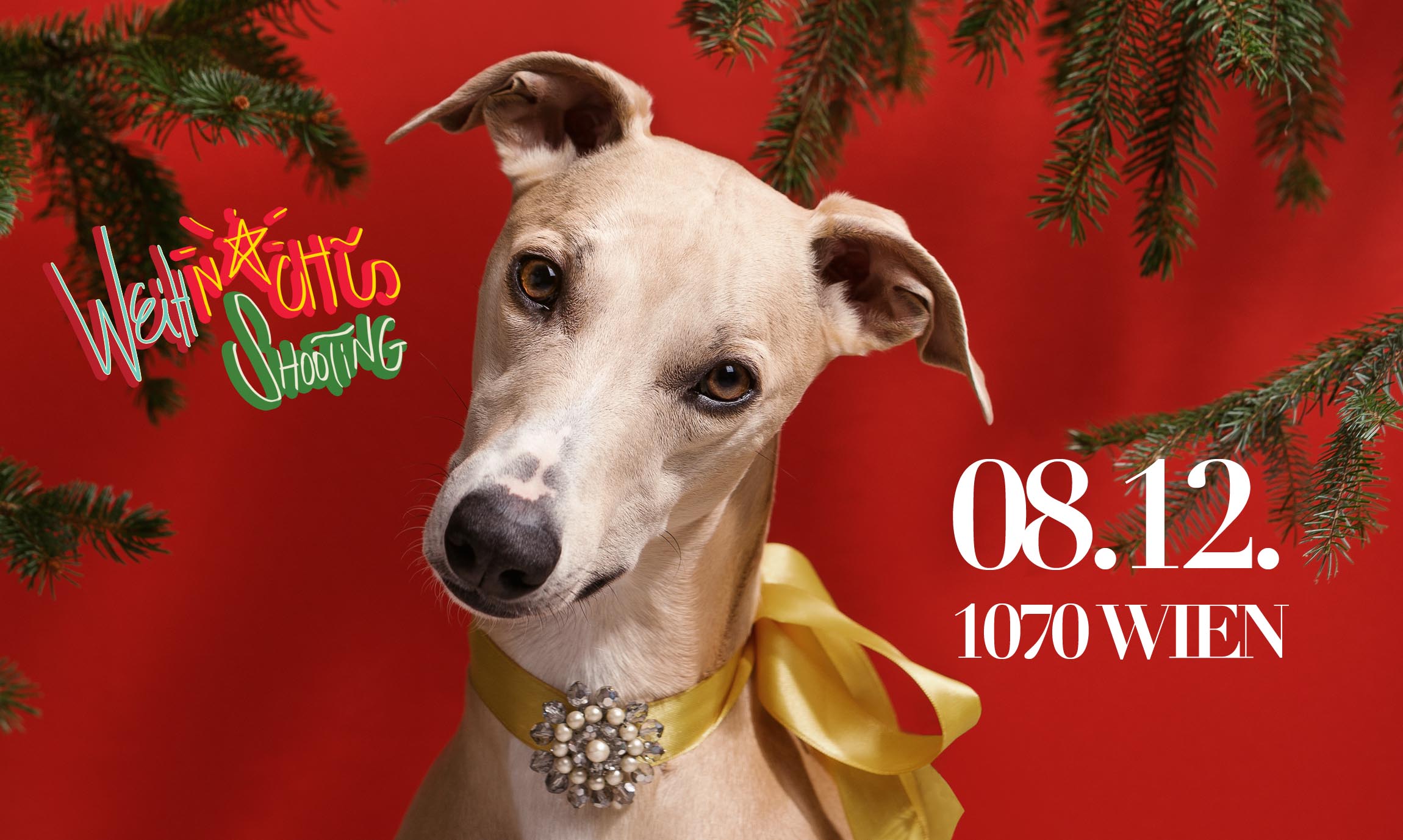 Tierlicht Weihnachtsshooting