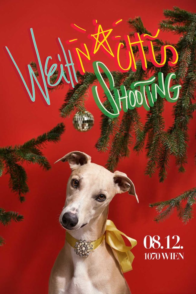 XMAS FLYER Niels_XMAS 2020 ©Tierlicht-9935