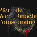 Ein schwarzes Pferd mit einem Weihnachtskranz zum Thema Weihnachtsfotos mit Pferd von Pferdefotograf Tierlicht