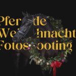 Ein schwarzes Pferd mit einem Weihnachtskranz zum Thema Weihnachtsfotos mit Pferd von Pferdefotograf Tierlicht