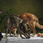 Hundeportrait als Kunstwerk von Hundefotograf Tierlicht