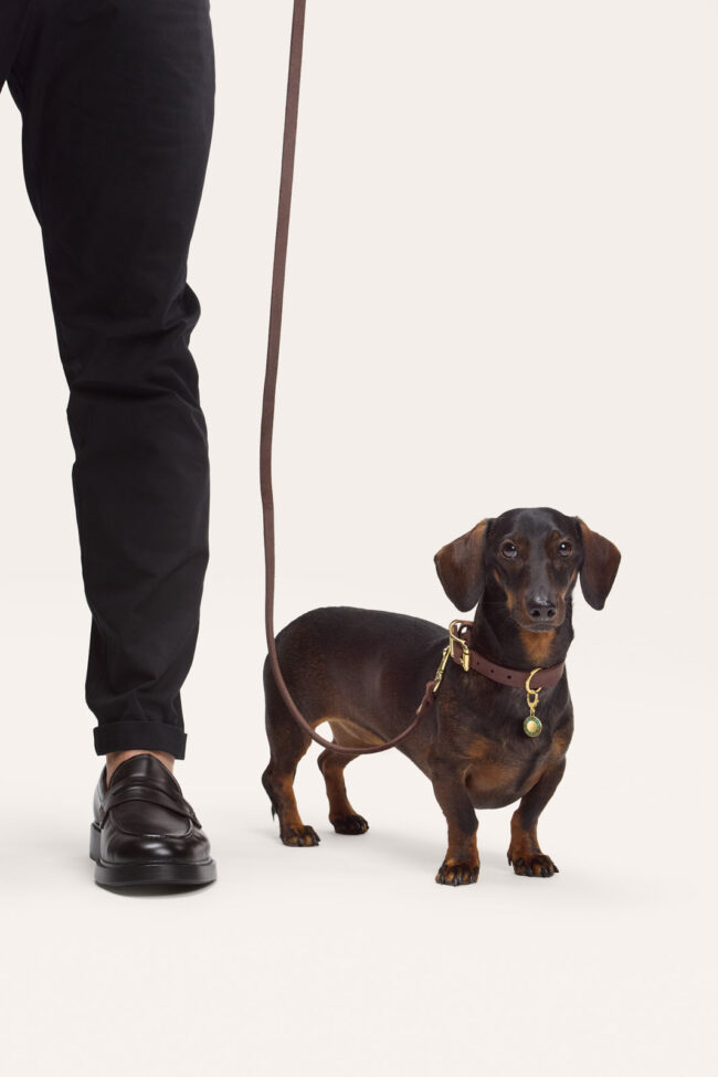 rondoro, Tierlicht, Clemens Schneider