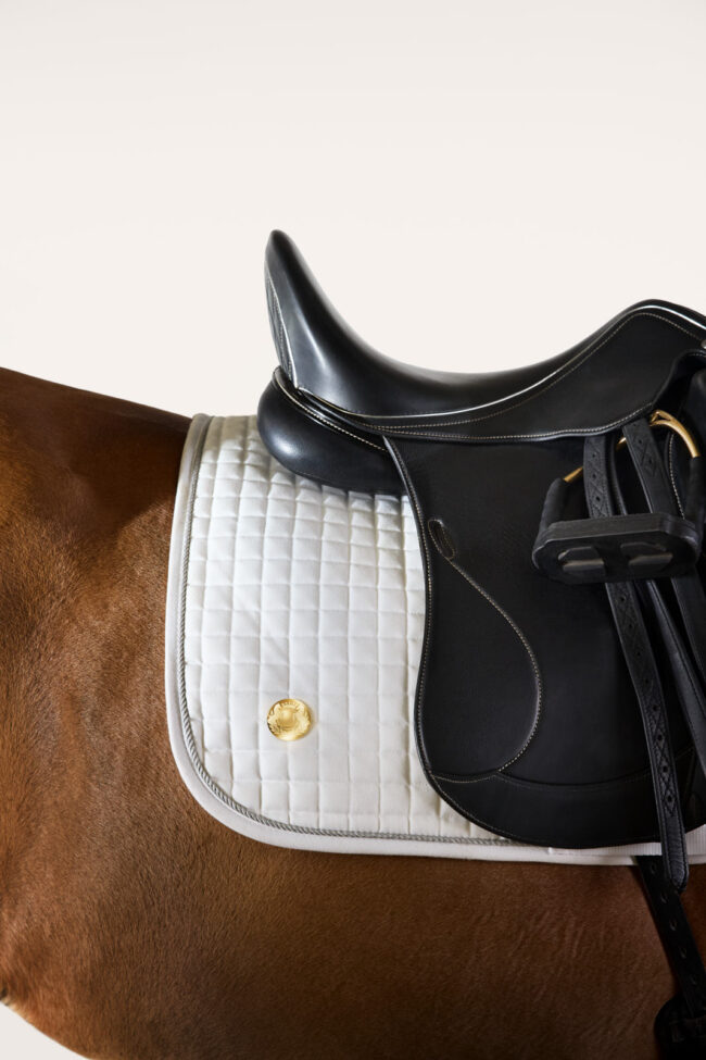 rondoro, Tierlicht, Clemens Schneider